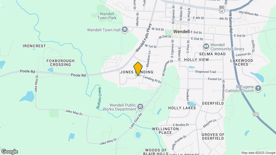 411 Landing Pl Dr Map and Location Details