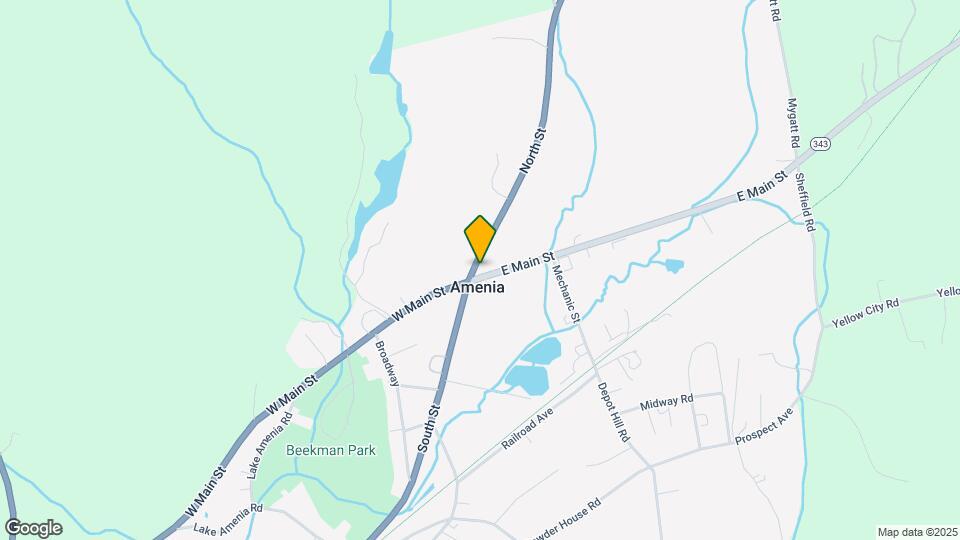 3 NY-343 Map and Location Details