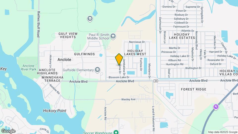2539 Pinetta Ct Mapa y Detalles de la Ubicación
