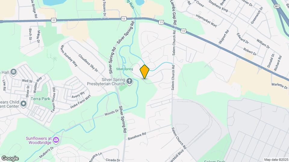 253 Sruthi Dr Map and Location Details