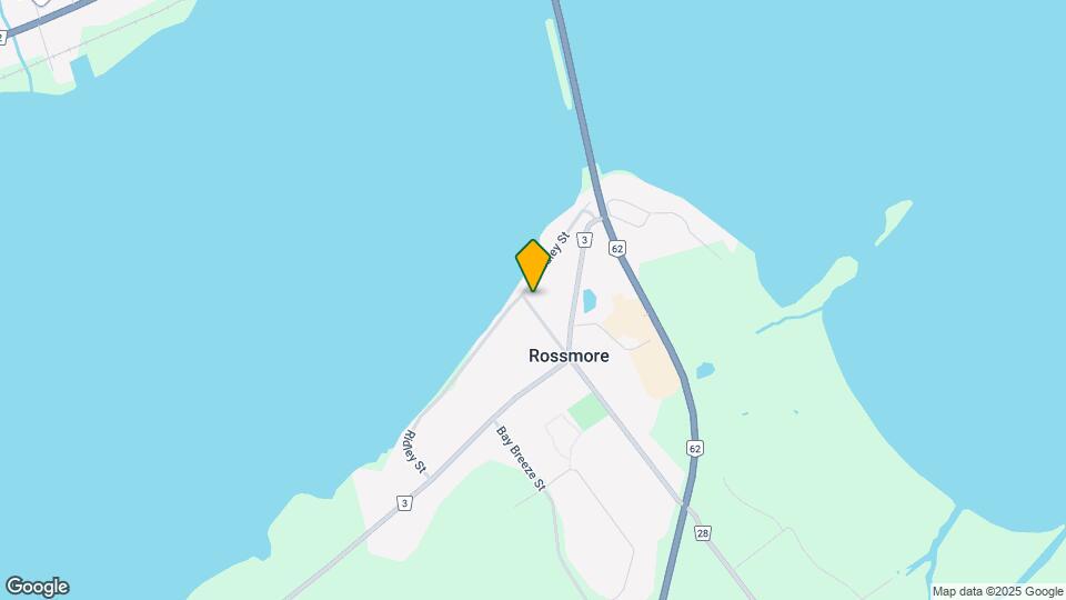 48 Reddick St Map and Location Details