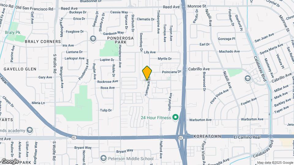 903 Tamarack Ln Map and Location Details