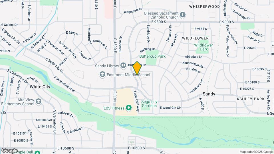 10152 Snow Iris Way Map and Location Details