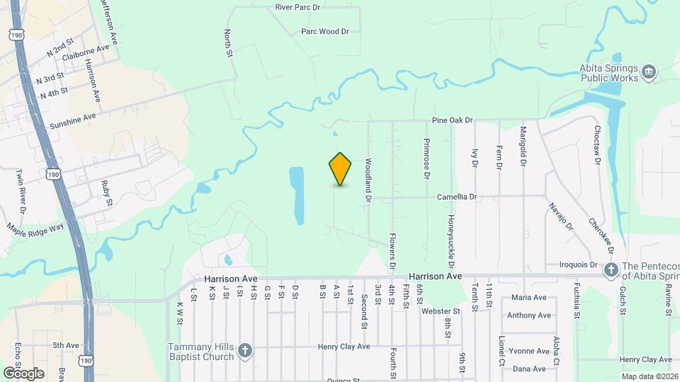 104 Big Pine Dr Mapa y Detalles de la Ubicación