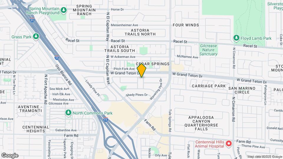 7933 Hollow Pine St Map and Location Details