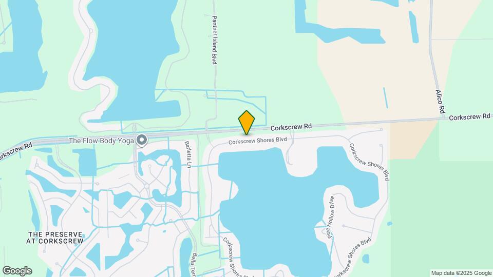 20162 Corkscrew Shores Blvd Map and Location Details