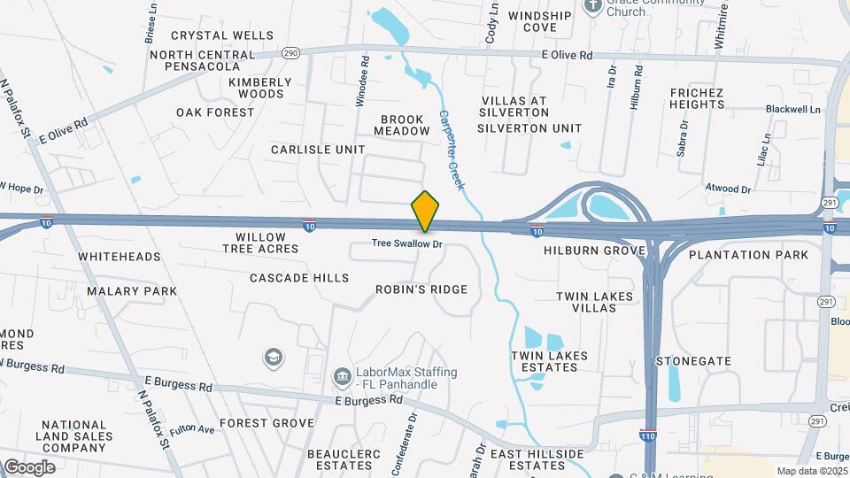 323 Tree Swallow Dr Map and Location Details