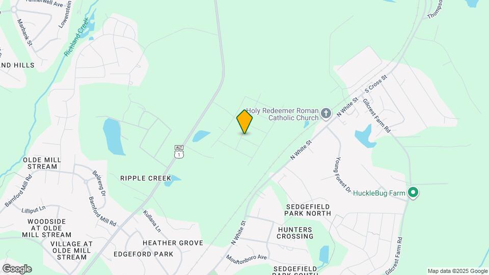 The Collection Kinsley Map and Location Details