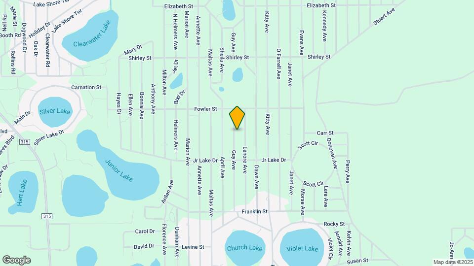 220 Guy Ave Map and Location Details