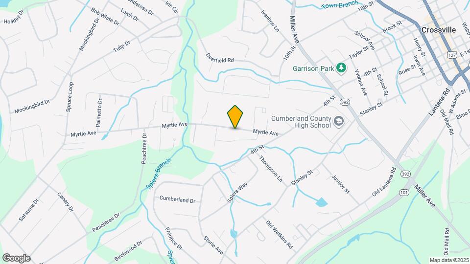 251 Myrtle Ave Map and Location Details