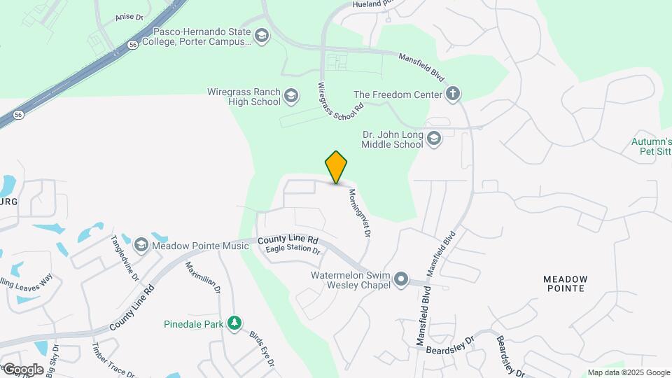 29806 Morningmist Dr Map and Location Details