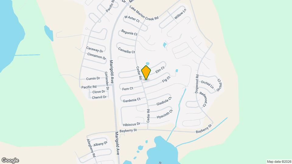 204 Fig Ct Map and Location Details