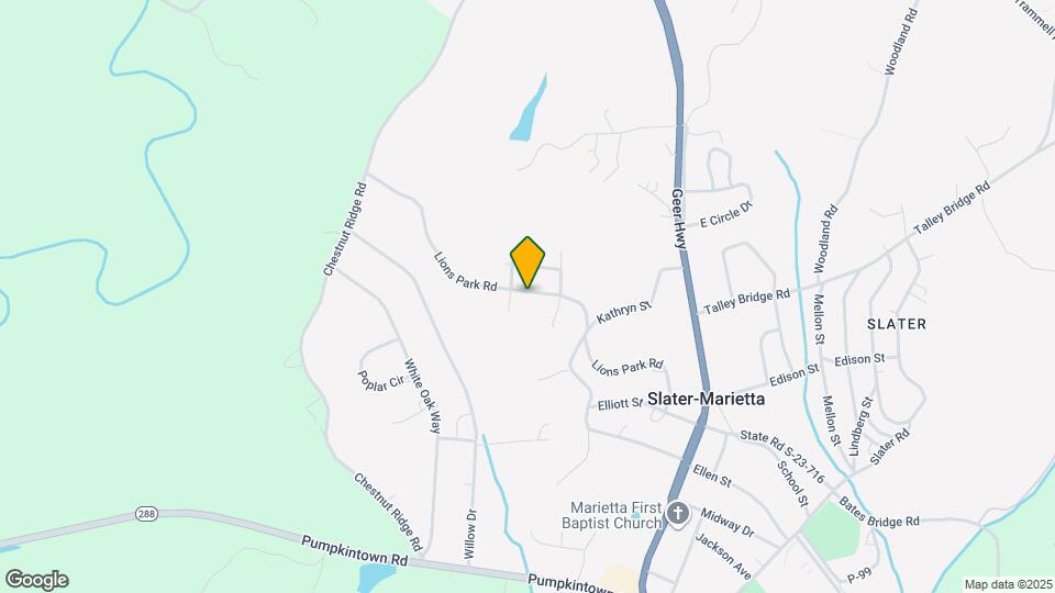 229 Lions Park Rd Map and Location Details