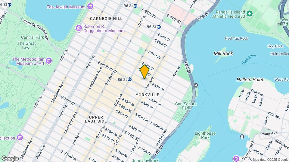 348 E 87th St Mapa y Detalles de la Ubicación