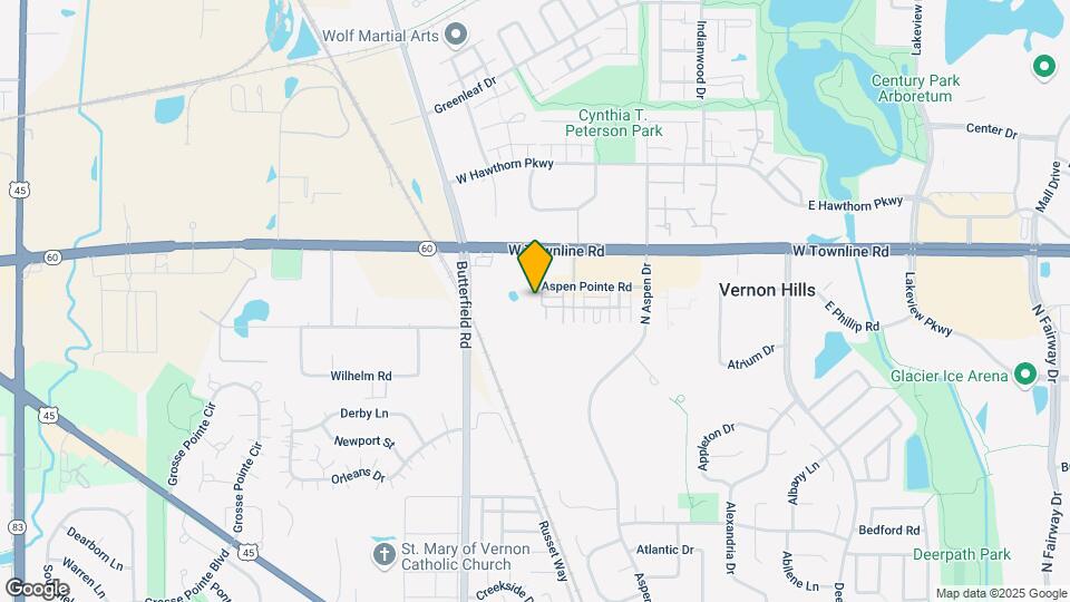 409 Alpine Springs Dr Map and Location Details