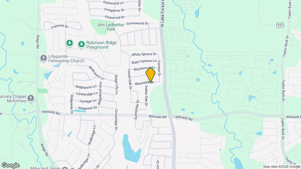 5021 Blackelm Dr Mapa y Detalles de la Ubicación