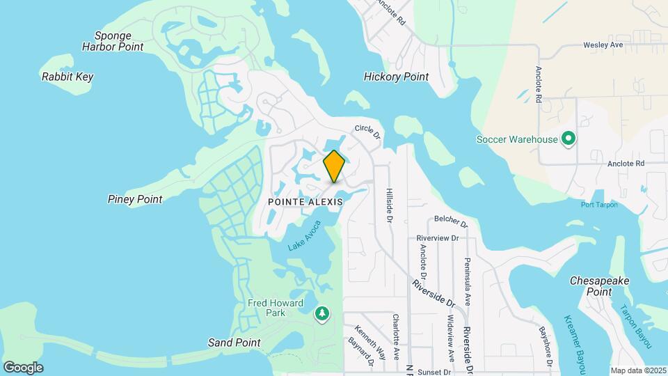 1007 S Pointe Alexis Dr Map and Location Details