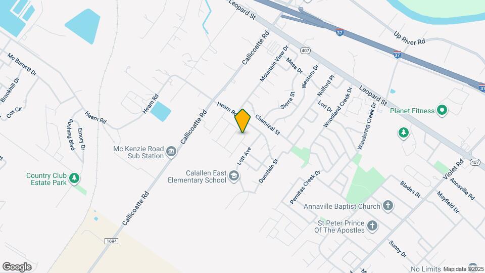 3937 Jayden Dr Mapa y Detalles de la Ubicación