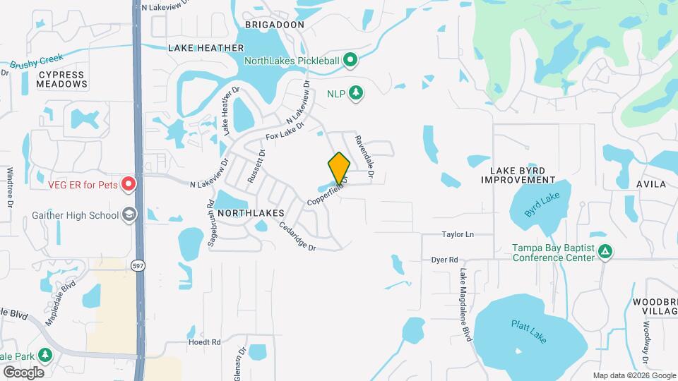 16051 Grass Lake Dr Mapa y Detalles de la Ubicación