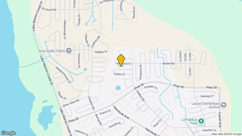 317 Puffer Ct Map and Location Details