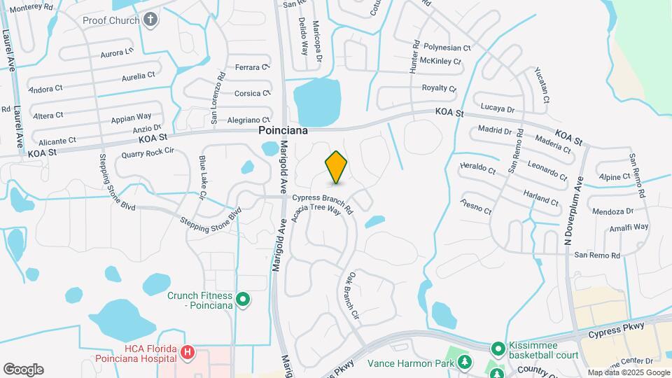 4463 Cherry Branch Ct Map and Location Details