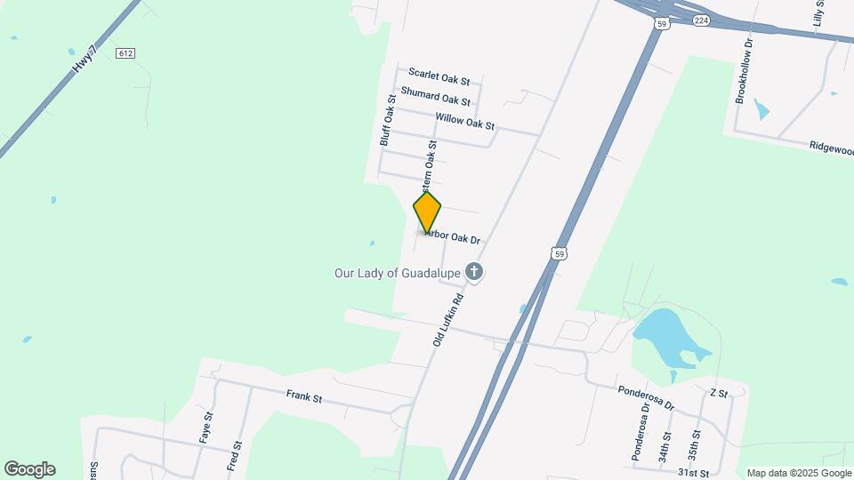 523 Arbor Oak Dr Map and Location Details
