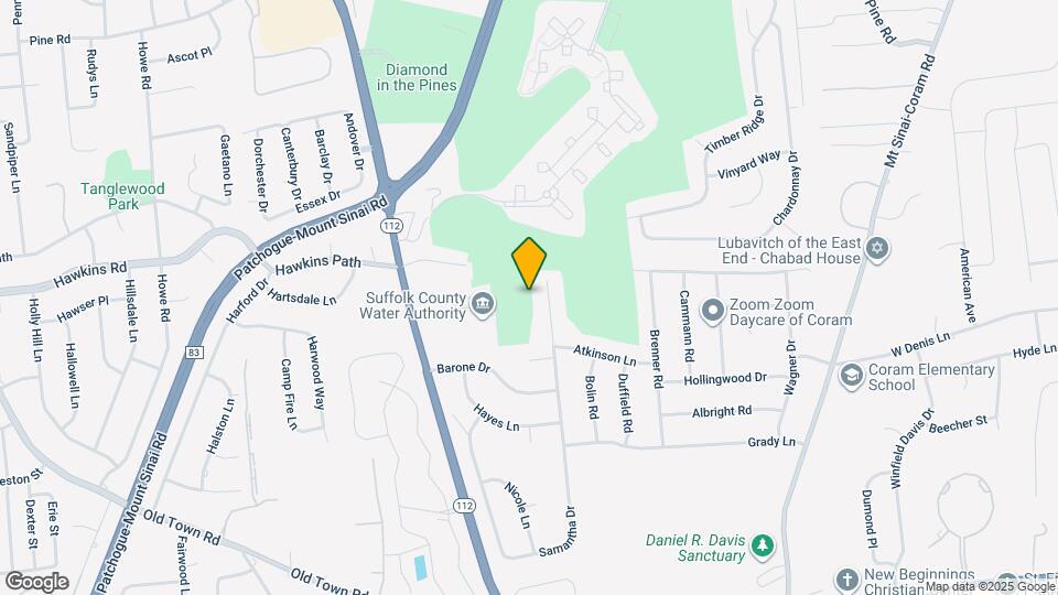 316 Charles Pond Dr Map and Location Details
