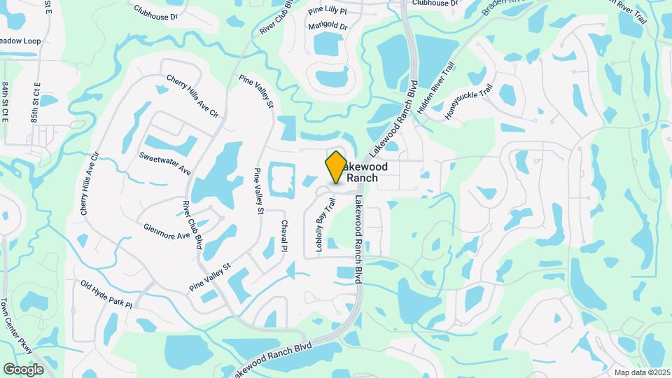 11003 Star Rush Pl Map and Location Details