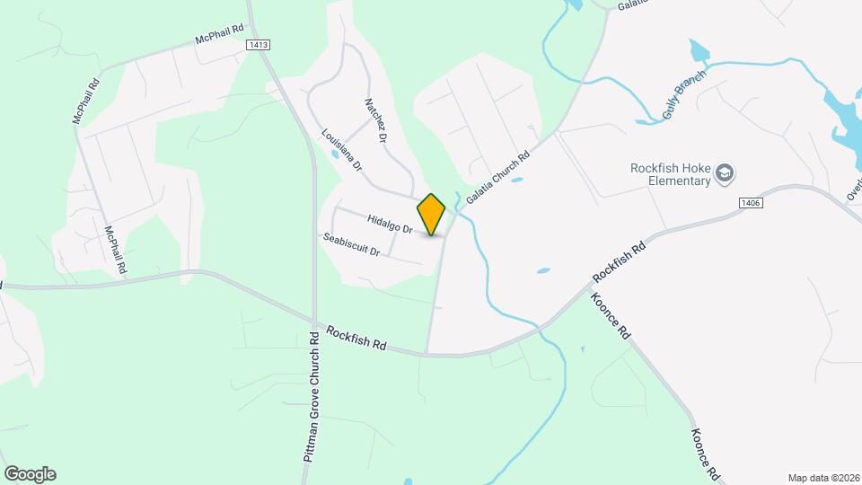 141 Hidalgo Dr Mapa y Detalles de la Ubicación