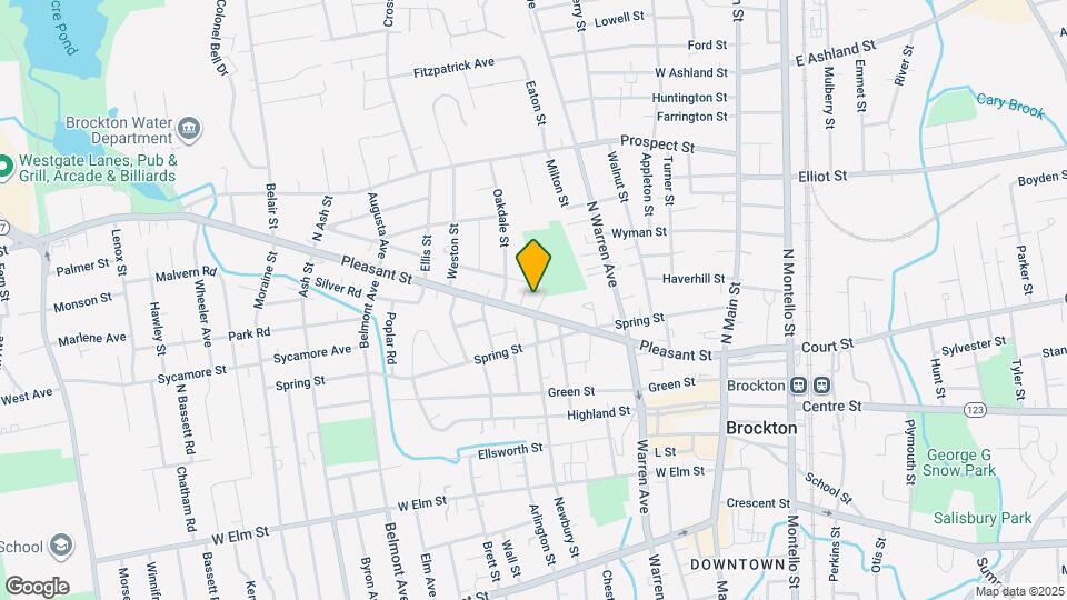 217 Pleasant St Map and Location Details