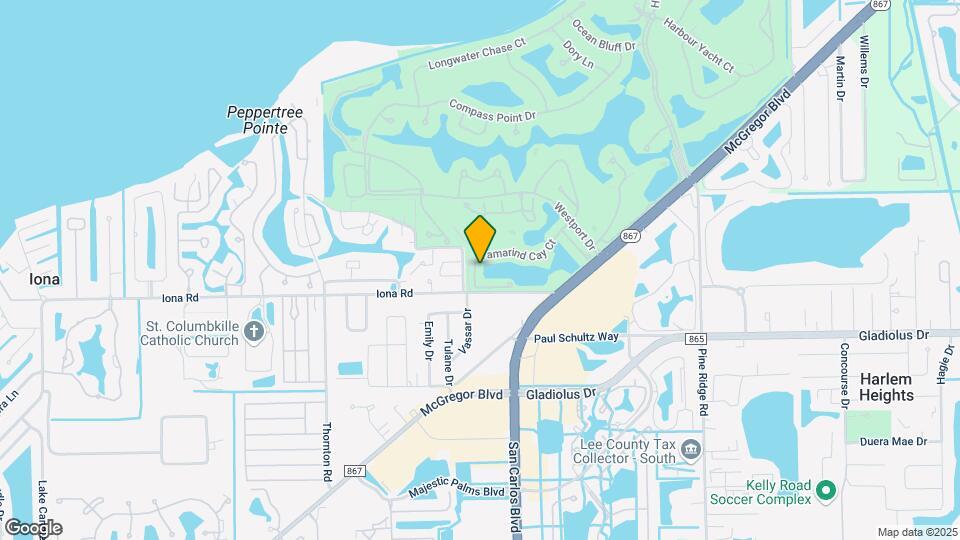 15065 Tamarind Cay Ct Mapa y Detalles de la Ubicación