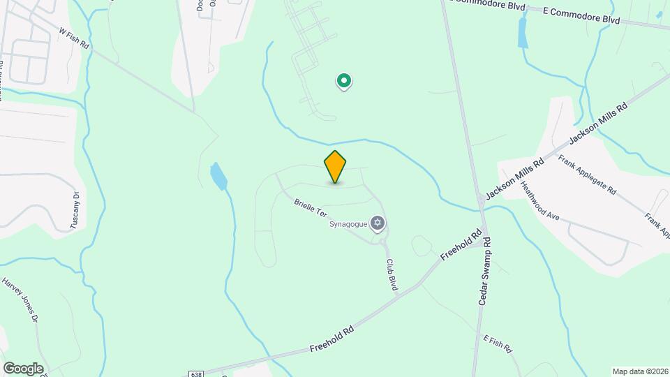 293 Mantoloking Dr Map and Location Details