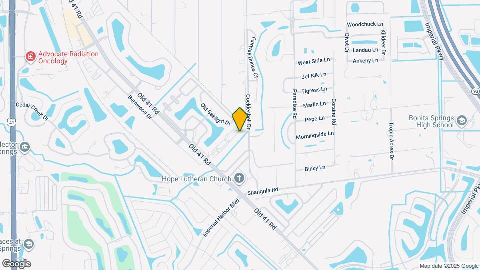25727 Lake Amelia Way Map and Location Details