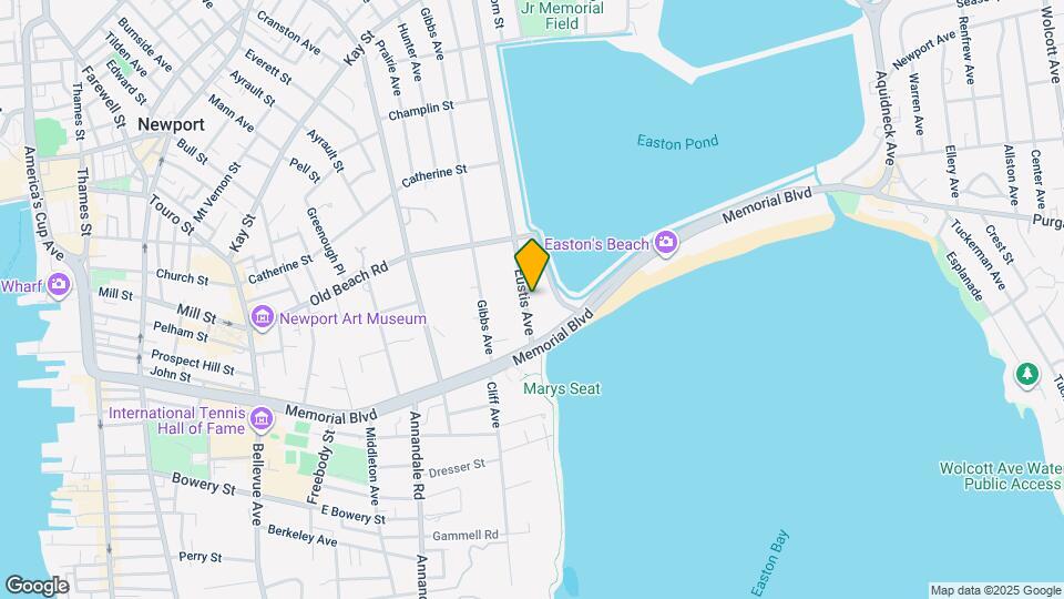 236 Eustis Ave Mapa y Detalles de la Ubicación