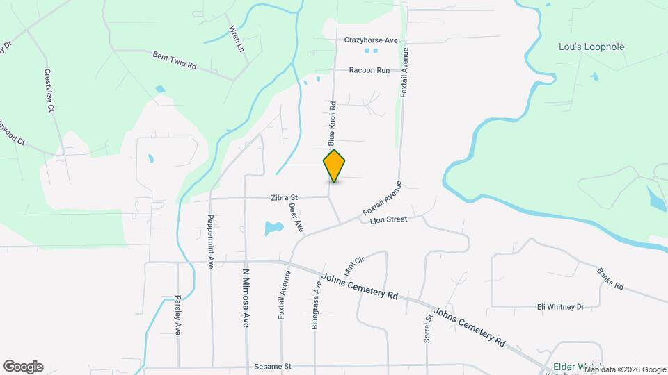 2101 Blue Knoll Rd Rentals in Middleburg, FL