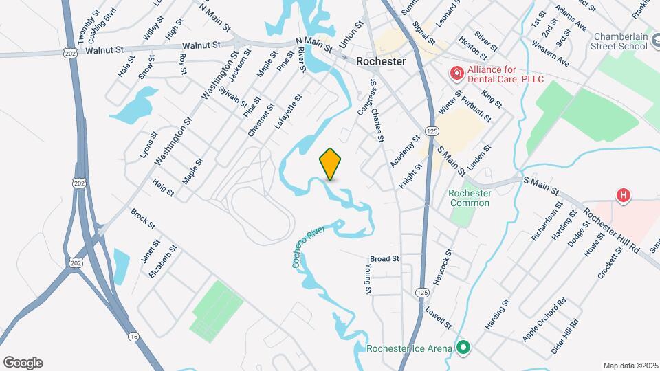 1 Olive Grv Cir Map and Location Details