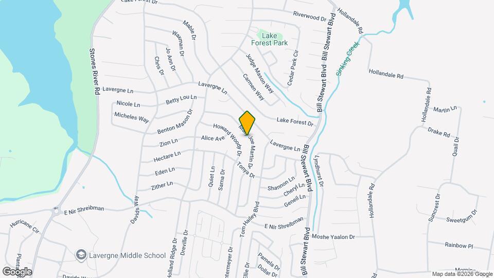 132 Mary Joe Martin Dr Map and Location Details