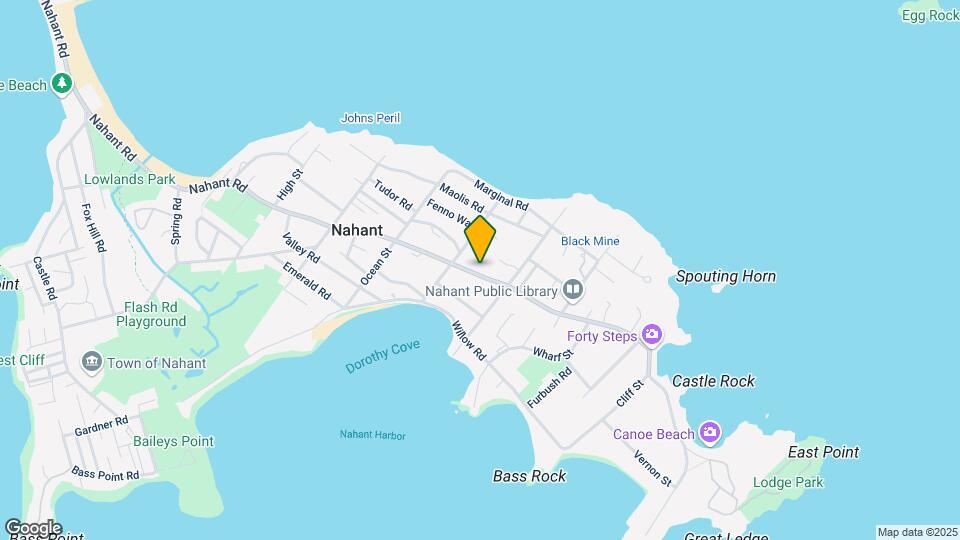 298 Nahant Rd Mapa y Detalles de la Ubicación