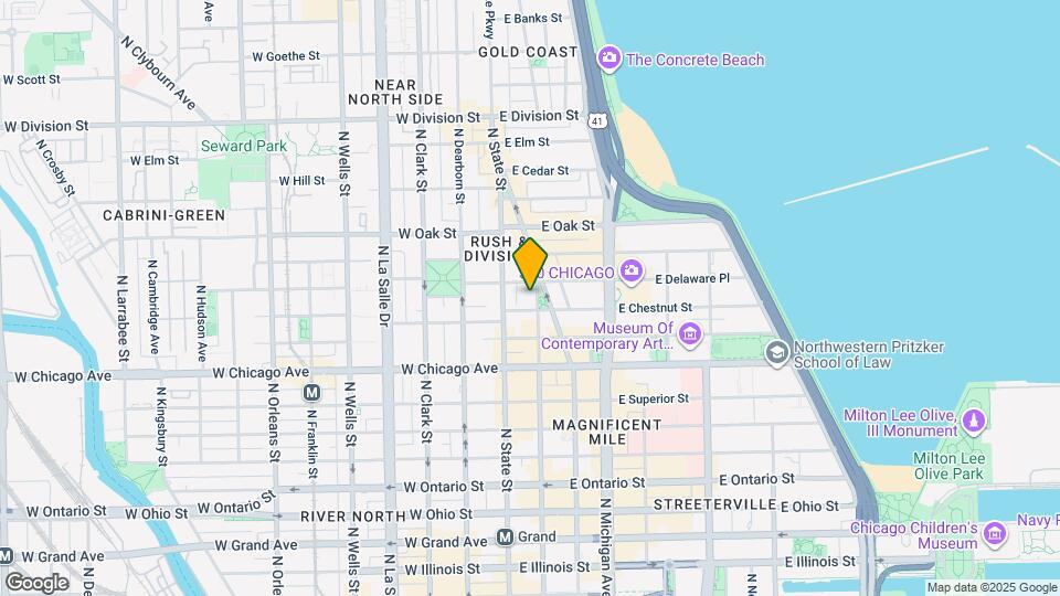 20 E Chestnut St, Unit 11B Map and Location Details
