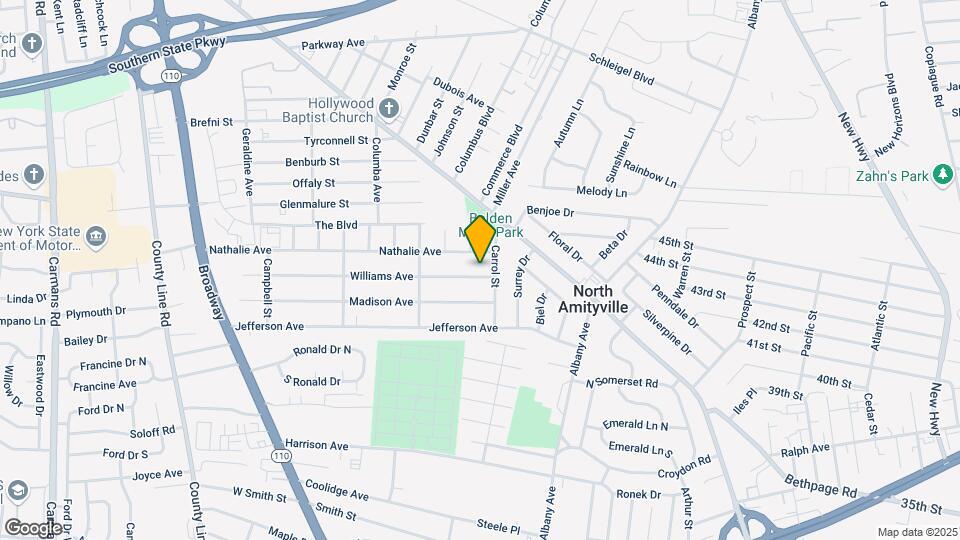 117 Williams Ave Mapa y Detalles de la Ubicación