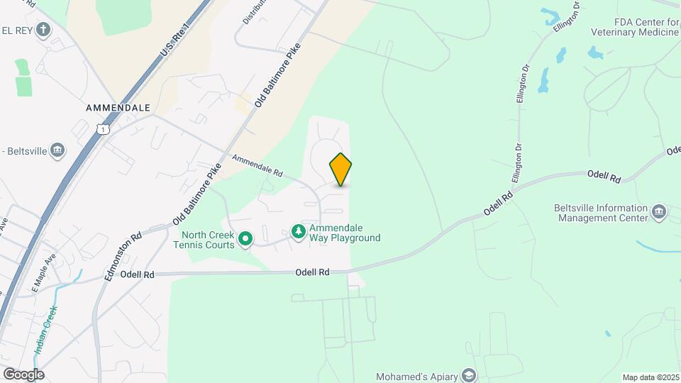 11518 Big Creek Dr Mapa y Detalles de la Ubicación