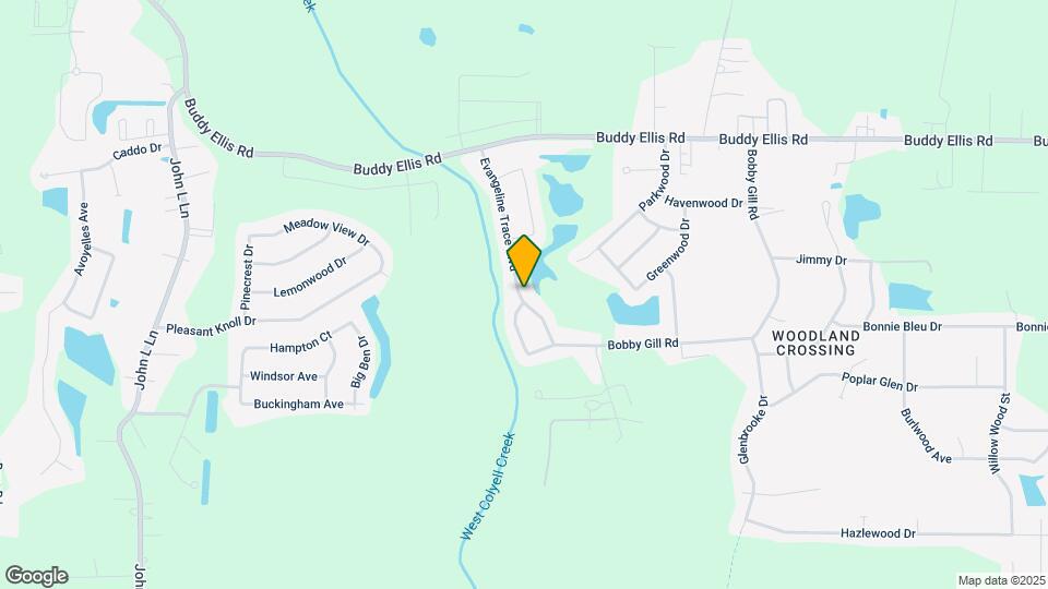 26462 Evangeline Trace Blvd Map and Location Details