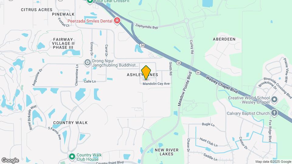 31015 Mandolin Cay Ave Mapa y Detalles de la Ubicación