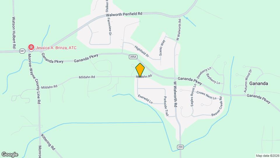 390 Everwild Ln Map and Location Details