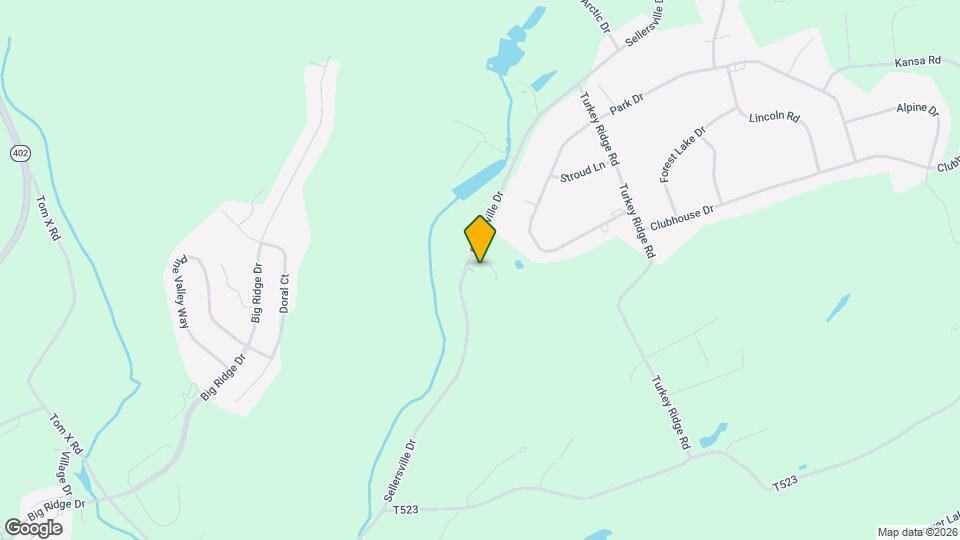 206 Sellersville Dr Mapa y Detalles de la Ubicación