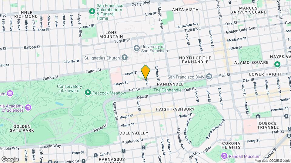 203 Clayton St Mapa y Detalles de la Ubicación