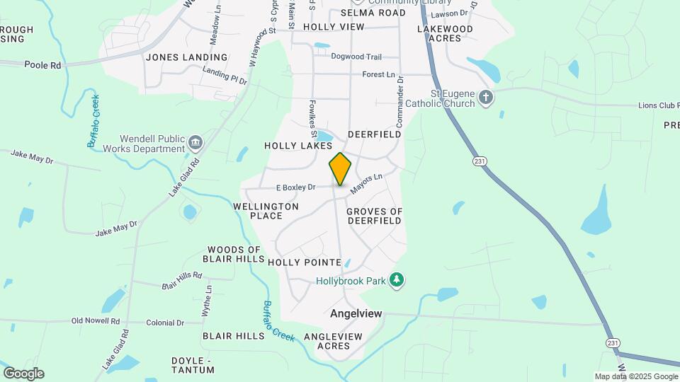 207 Mayors Ln Mapa y Detalles de la Ubicación