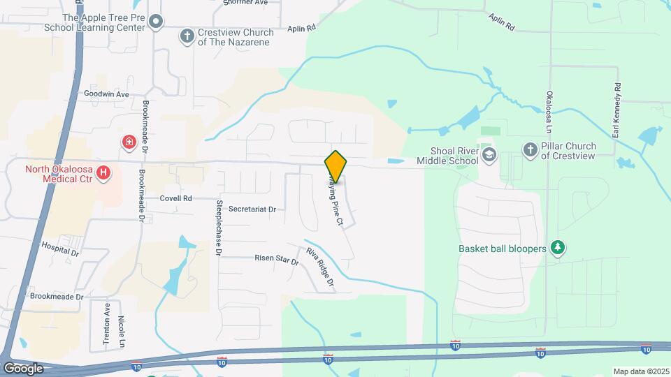 132 Swaying Pine Ct Map and Location Details