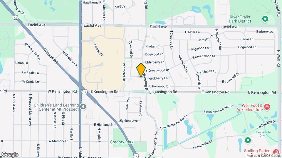 980-994 N Wheeling Rd Map and Location Details
