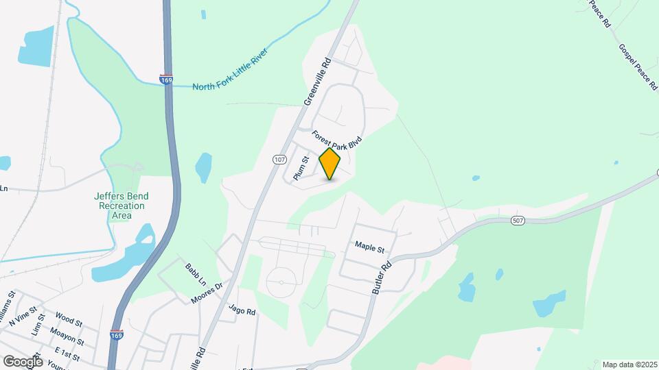 213 Peach St Mapa y Detalles de la Ubicación